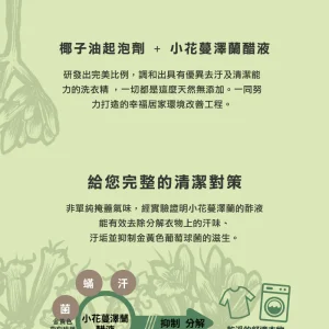 小花蔓澤蘭－六倍濃縮洗衣精 300 mL：圖片 3